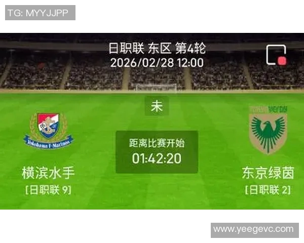 横滨足球队与东京绿茵队对决分析及战术解析