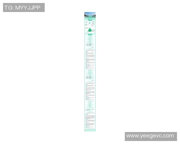 2019年中国足球赛事回顾与分析揭示国内足球发展新趋势